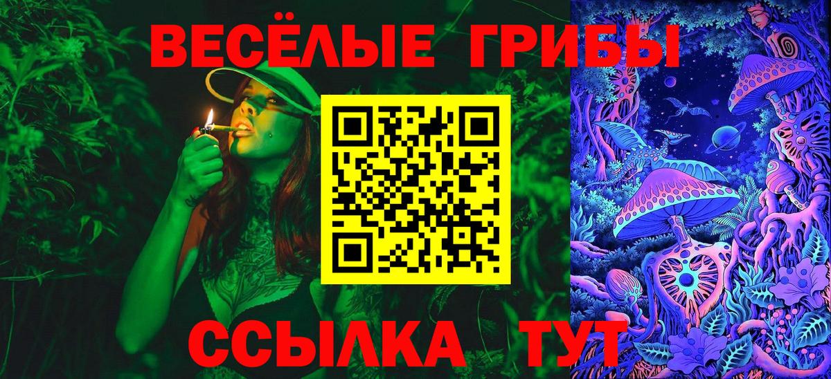 Галлюциногенные грибы Psilocybe Артёмовский